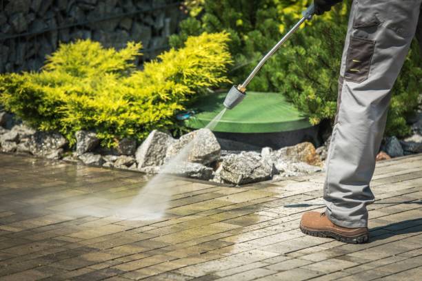 Best Winterizing Services  in Washington, PA